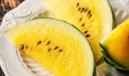 吃瓜學生網紅東北,揭秘東北網紅背后的故事