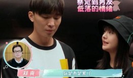 張恒爆料最新錄音,揭秘娛樂圈驚天秘密