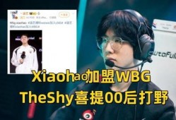 wbg爆料視頻,戰(zhàn)隊內(nèi)部風(fēng)云與精彩瞬間