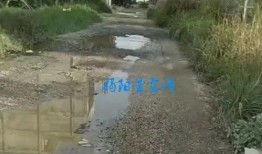 爆料道路顛簸視頻,揭秘我國道路現狀
