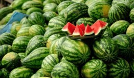 青田網紅吃瓜,揭秘幕后故事與熱門話題