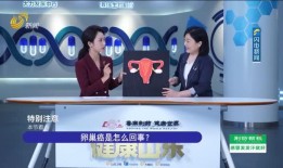 甘孜電視臺爆料新聞視頻,重大新聞事件深度解析