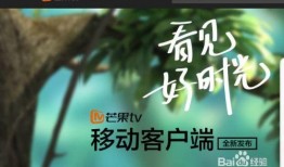 芒果電視直播在線觀看,暢享精彩瞬間，盡在指尖