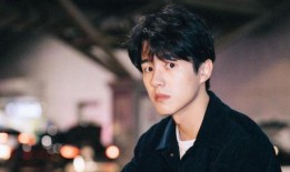 娛樂圈爆料劉昊然是誰,娛樂圈爆料背后的青春偶像