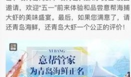 今日青島爆料新聞,驚現神秘事件引發全城熱議