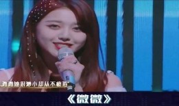 劉大錘爆料王姓明星視頻