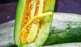 青田網紅吃瓜,揭秘幕后故事與熱門話題