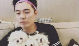 鄭凱爆料陳赫喝酒視頻,網友熱議