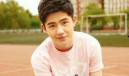 娛樂圈爆料劉昊然是誰,娛樂圈爆料背后的青春偶像