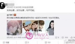 陸地夫婦貼吧最新爆料,揭秘明星夫妻幕后故事