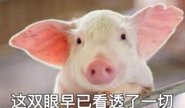 養(yǎng)豬導(dǎo)演爆料視頻播放,視頻播放背后的驚人真相